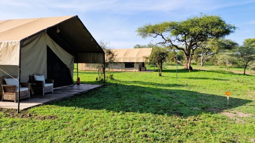 Africa Safari Ngorongoro Ndutu