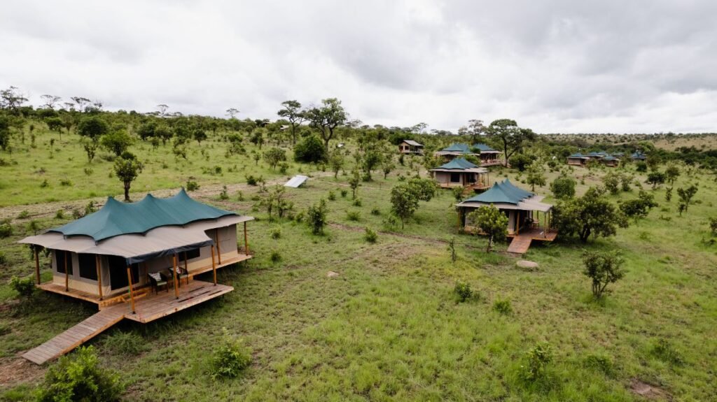 Baobab Mara Luxury Camp