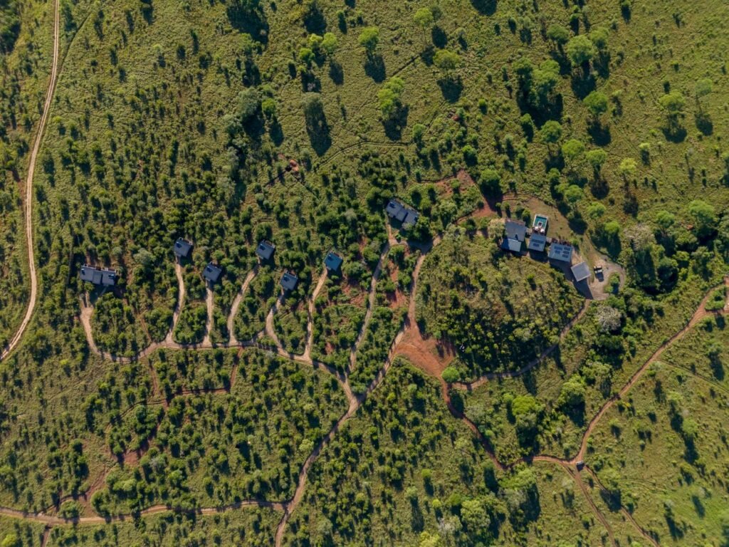 Elephant Springs