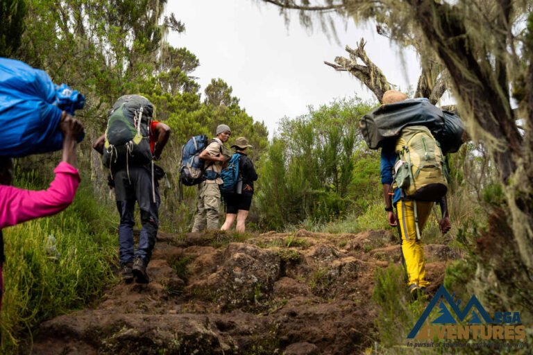 Climbers on Mount Kilimanjaro