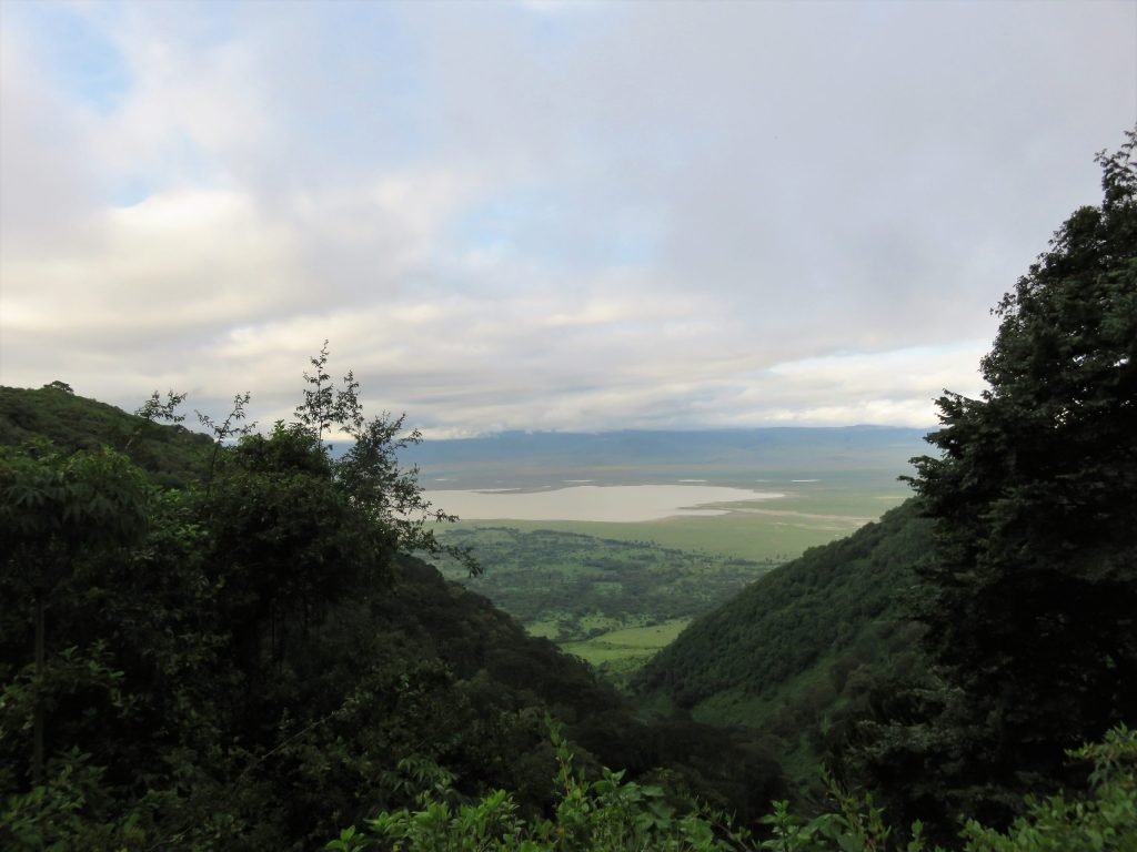 Ngorongoro Conservation Area