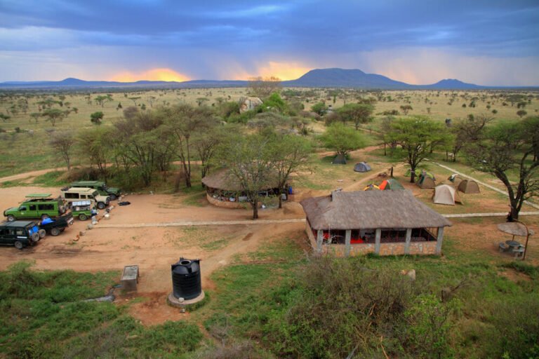 Seronera Campsite