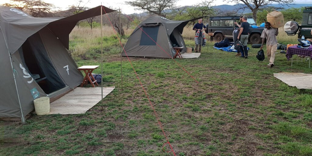 A fly camp set up in the bush at dusk