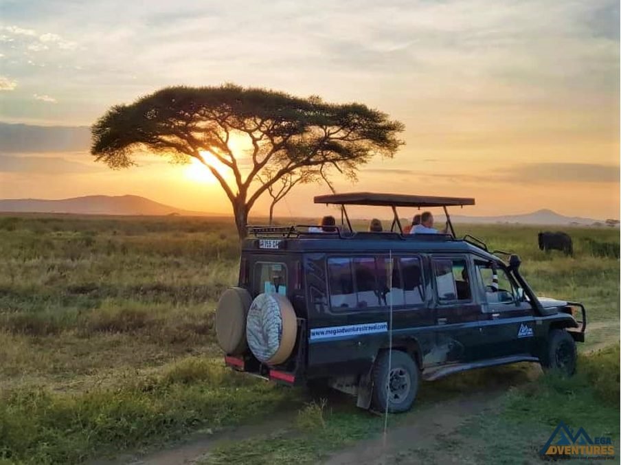 Land Cruiser with pop-up roof