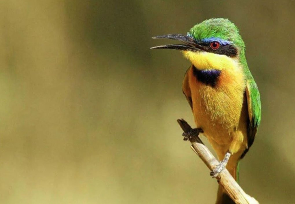 Katavi National Park