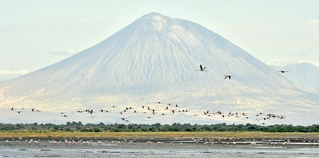 Lake Natron