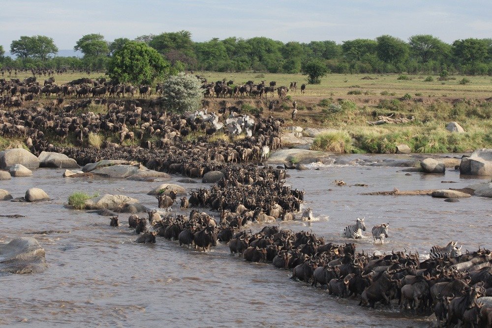 Serengeti National Park