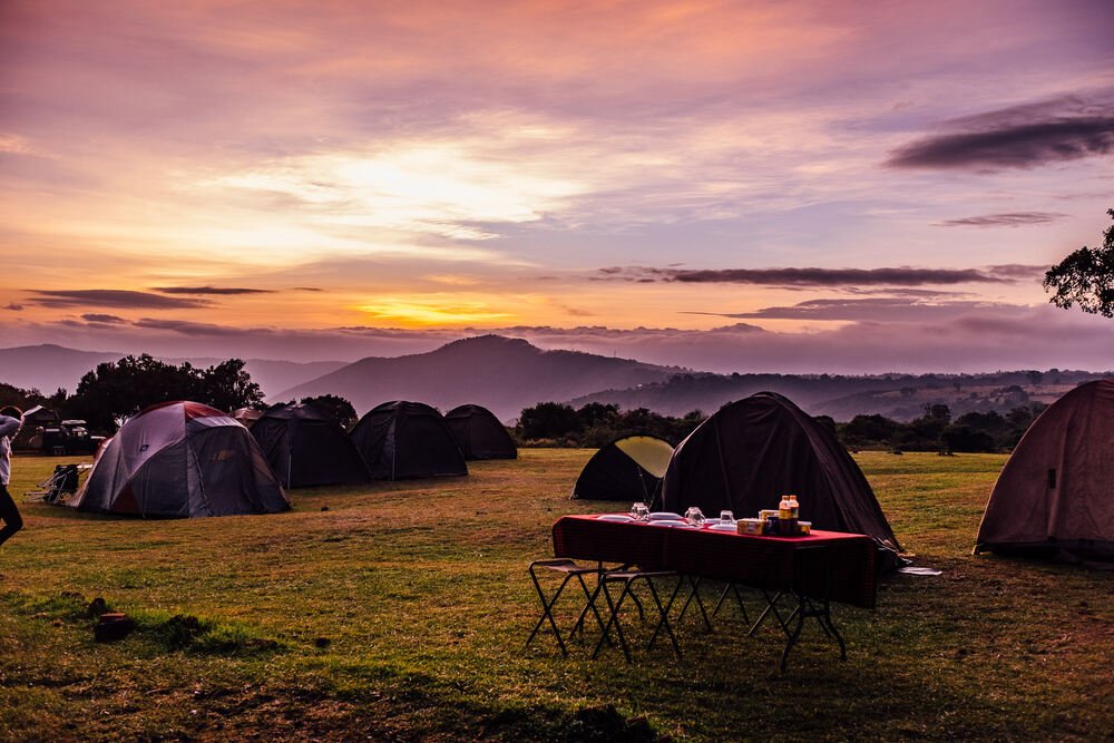 Simba A Campsite