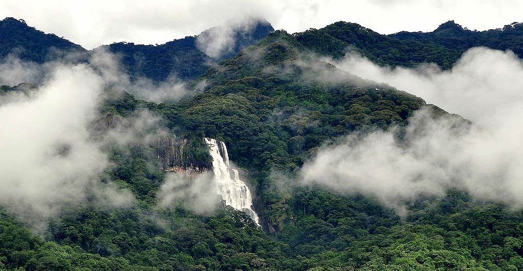 Udzungwa Mountains National Park